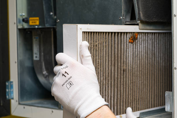 Best Air Duct Cleaning Near Me  in Edmonston, MD