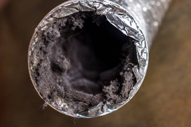 Best Air Duct Cleaning Near Me  in Edmonston, MD