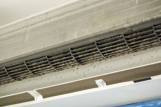 Best Professional Duct Cleaning Services  in Edmonston, MD