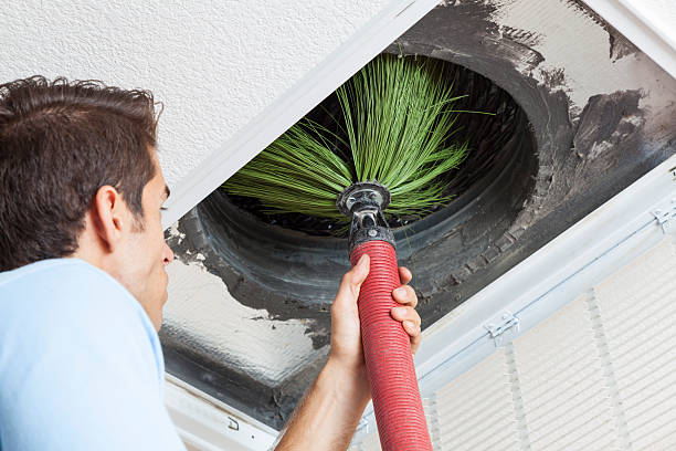 Best Local Air Duct Cleaning Services  in Edmonston, MD
